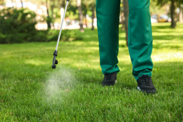 Pest Control Cost in Clifton, AZ